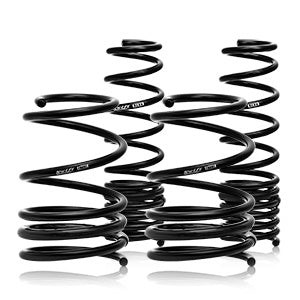 Swift Springs Spec-R Lowering Springs