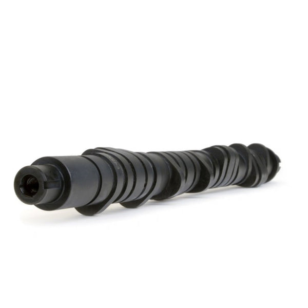 Skunk 2 D-series VTEC Tuner Series Stage 2 Camshafts